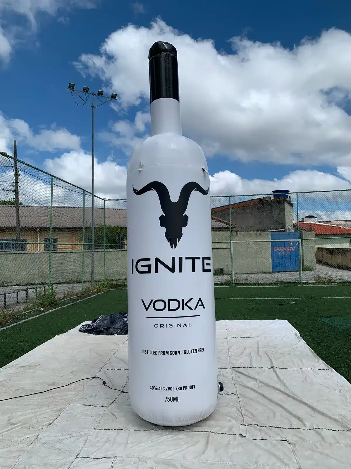 WhatsApp Image 2025-12-19 at 11.07.38 (3)